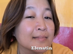 Elenatin
