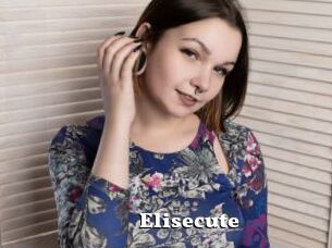 Elisecute