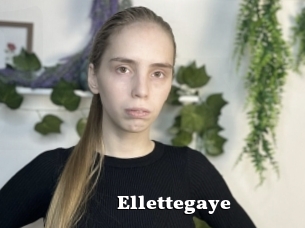 Ellettegaye