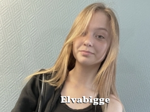 Elvabigge