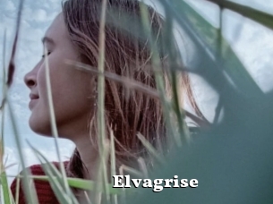 Elvagrise