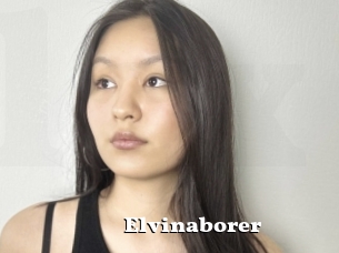 Elvinaborer