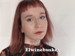 Elwinebuskey