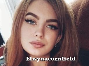 Elwynacornfield
