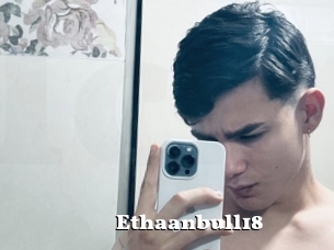 Ethaanbull18