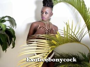 Exoticebonycock