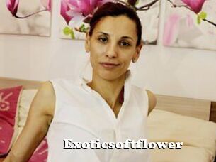 Exoticsoftflower