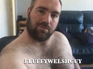 FLUFFYWELSHGUY
