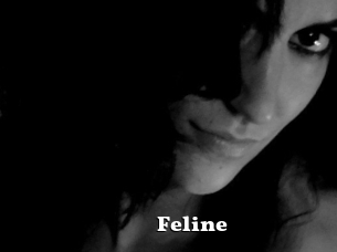 Feline