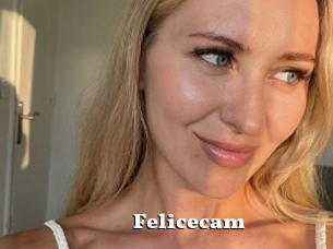 Felicecam