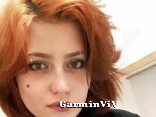 GarminViV