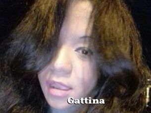 Gattina