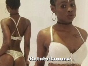 Gatubela_masc