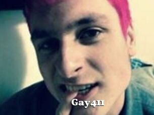 Gay411