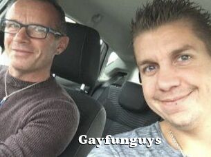 Gayfunguys