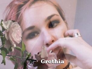 Grothia