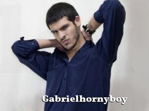 Gabrielhornyboy