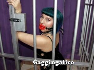Gaggingalice