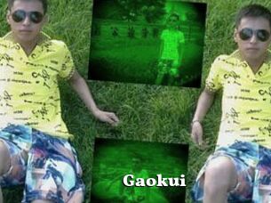 Gaokui