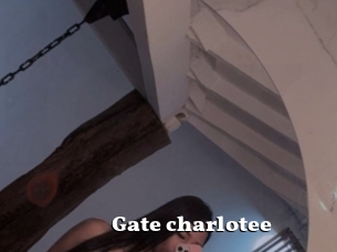 Gate_charlotee