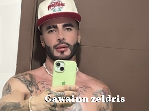Gawainn_zeldris