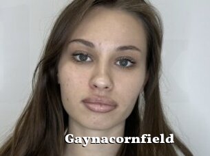 Gaynacornfield