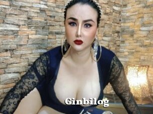 Ginbilog