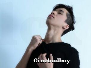 Ginobadboy