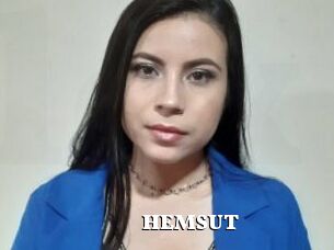 HEMSUT