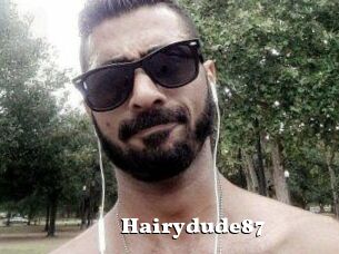 Hairydude87