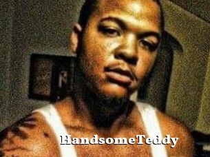 HandsomeTeddy