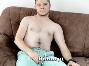 Hanno91