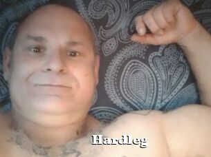 Hardleg