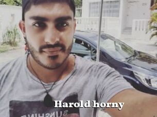 Harold_horny