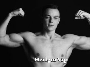 HeilgarVip