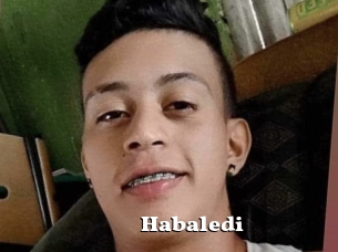 Habaledi