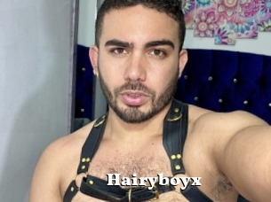 Hairyboyx