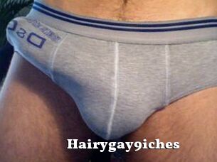 Hairygay9iches
