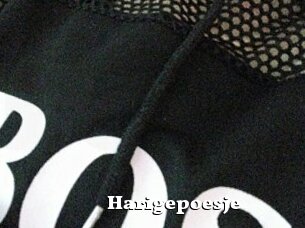 Harigepoesje