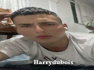 Harrydubois