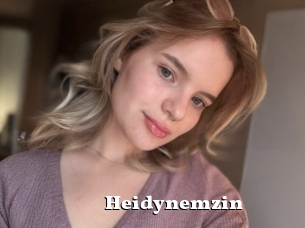 Heidynemzin