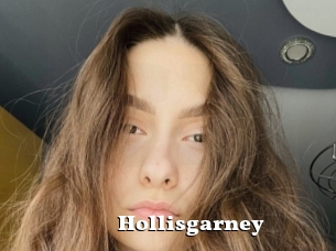 Hollisgarney