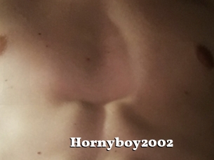 Hornyboy2002