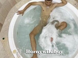 Hornywildboy