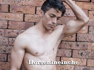 Horsenineinche