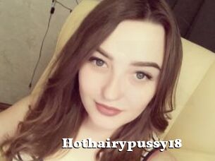 Hothairypussy18