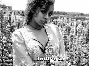 Indigo_22