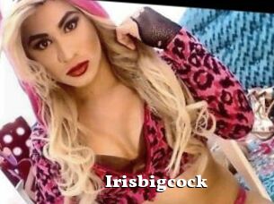 Irisbigcock