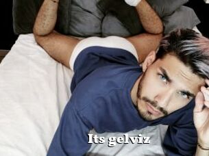 Its_gelviz