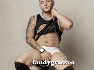Iandygrassoo